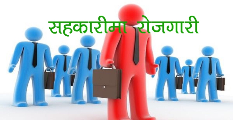 सहकारी मार्फत कुन प्रदेशमा कति रोजगारी